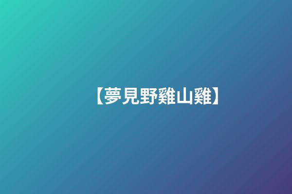 【夢見野雞山雞】