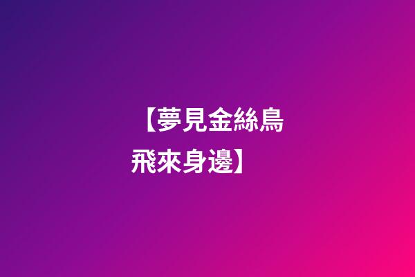 【夢見金絲鳥飛來身邊】