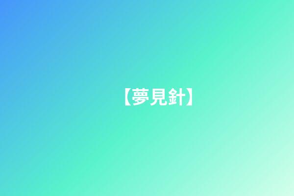 【夢見針】