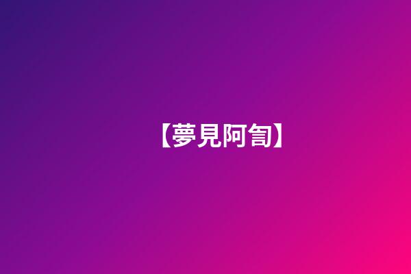 【夢見阿訇】