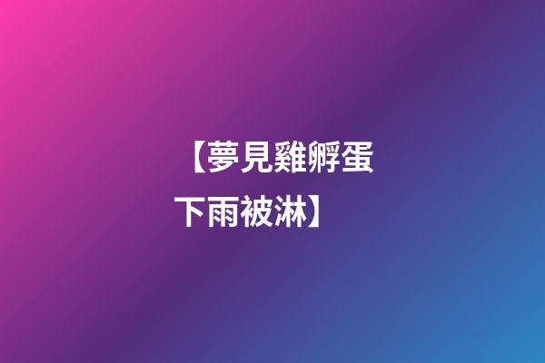 【夢見雞孵蛋下雨被淋】