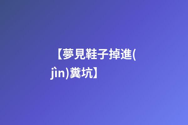 【夢見鞋子掉進(jìn)糞坑】