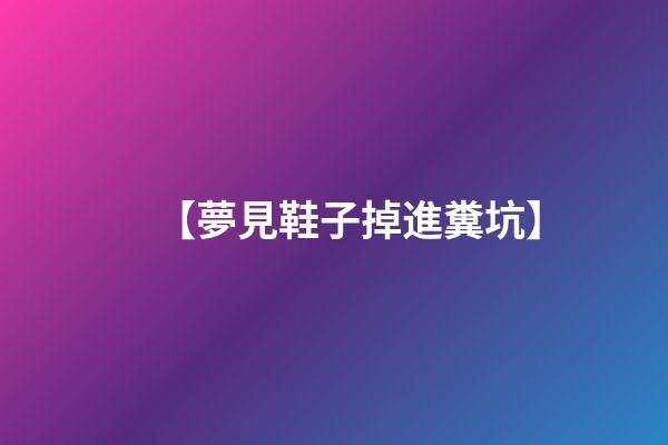 【夢見鞋子掉進糞坑】