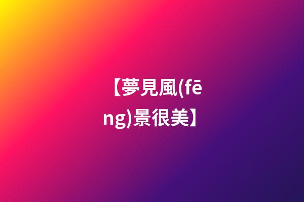【夢見風(fēng)景很美】