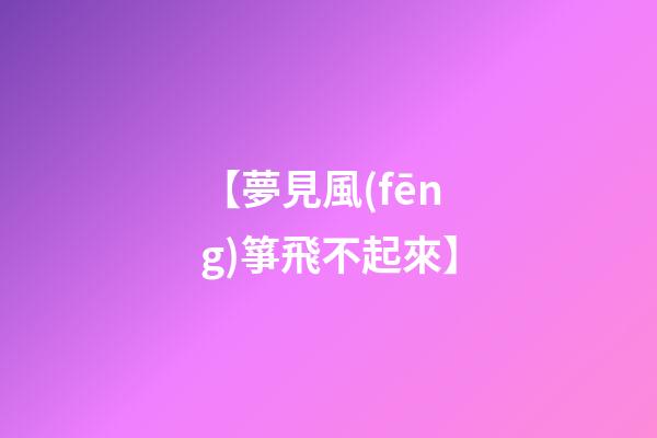 【夢見風(fēng)箏飛不起來】