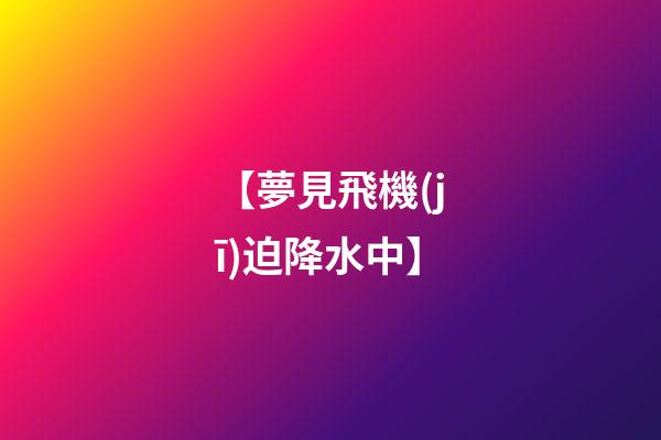 【夢見飛機(jī)迫降水中】