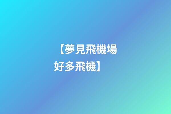 【夢見飛機場好多飛機】