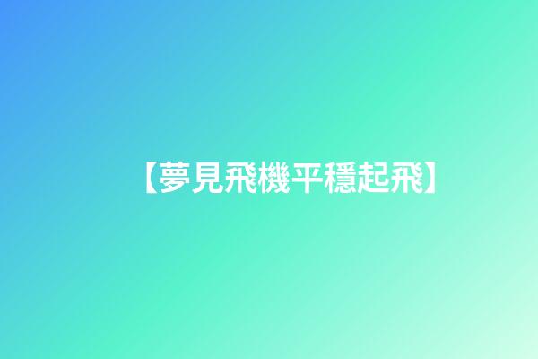 【夢見飛機平穩起飛】