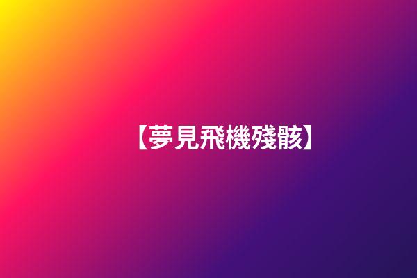 【夢見飛機殘骸】
