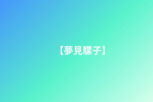 【夢見騾子】