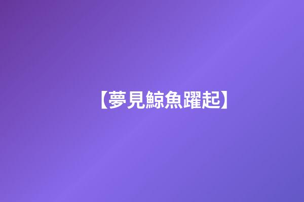 【夢見鯨魚躍起】