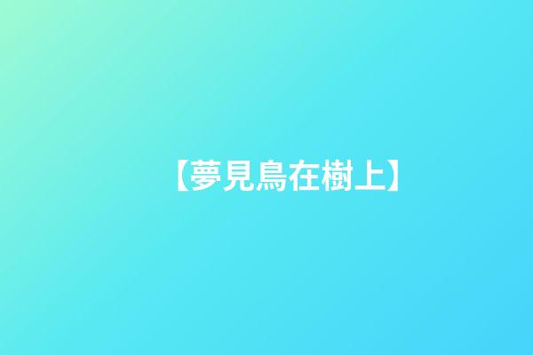 【夢見鳥在樹上】