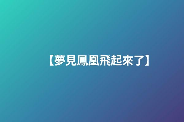 【夢見鳳凰飛起來了】