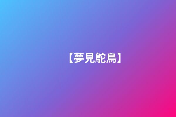 【夢見鴕鳥】