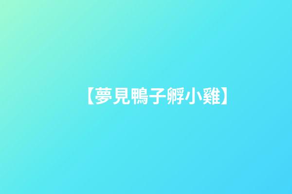 【夢見鴨子孵小雞】
