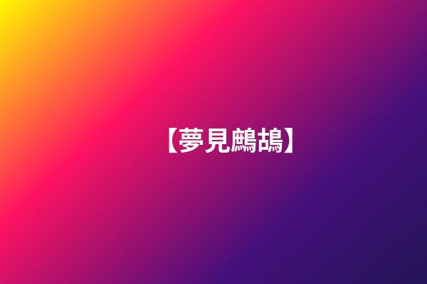 【夢見鷓鴣】