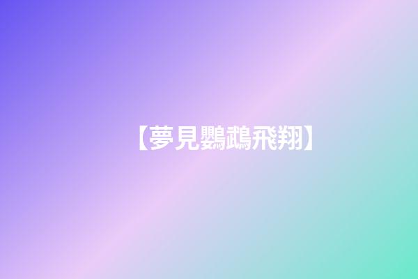 【夢見鸚鵡飛翔】