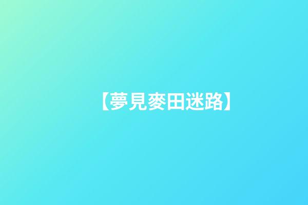 【夢見麥田迷路】