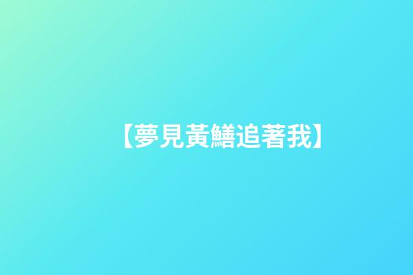 【夢見黃鱔追著我】