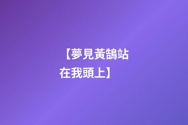 【夢見黃鵠站在我頭上】
