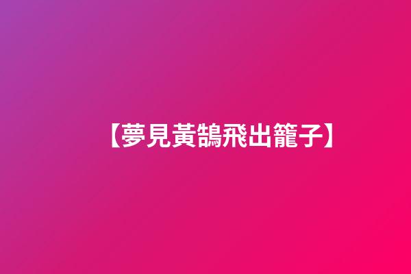 【夢見黃鵠飛出籠子】