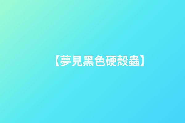 【夢見黑色硬殼蟲】