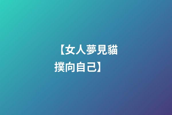 【女人夢見貓撲向自己】