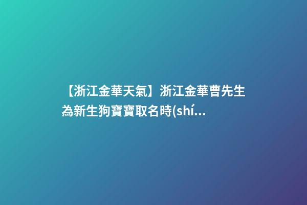 【浙江金華天氣】浙江金華曹先生為新生狗寶寶取名時(shí)尚型套餐-第1張-公司起名-玄機(jī)派