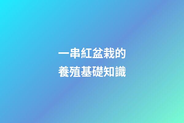 一串紅盆栽的養殖基礎知識