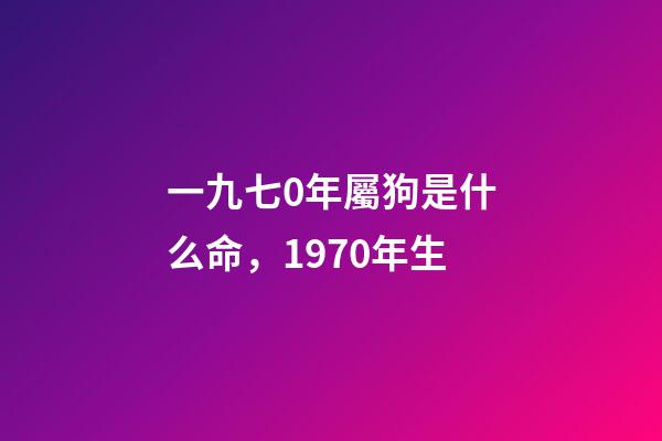 一九七0年屬狗是什么命，1970年生-第1張-觀點-玄機派