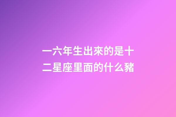 一六年生出來的是十二星座里面的什么豬-第1張-星座運勢-玄機派