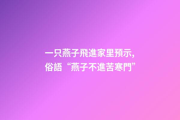 一只燕子飛進家里預示,俗語“燕子不進苦寒門”-第1張-觀點-玄機派
