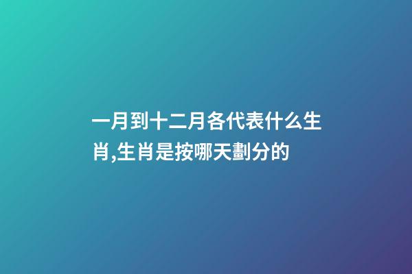 一月到十二月各代表什么生肖,生肖是按哪天劃分的-第1張-觀點-玄機派