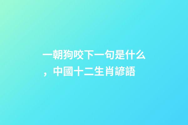 一朝狗咬下一句是什么，中國十二生肖諺語-第1張-觀點-玄機派