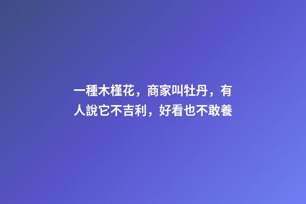 一種木槿花，商家叫牡丹，有人說它不吉利，好看也不敢養