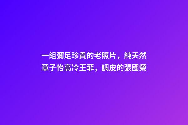 一組彌足珍貴的老照片，純天然章子怡高冷王菲，調皮的張國榮-第1張-觀點-玄機派