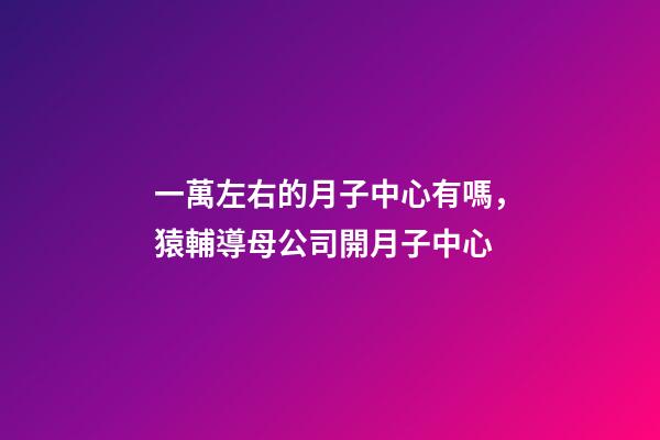 一萬左右的月子中心有嗎，猿輔導母公司開月子中心-第1張-觀點-玄機派