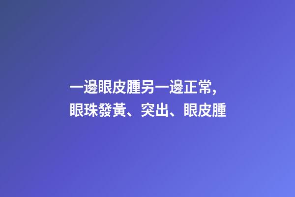 一邊眼皮腫另一邊正常,眼珠發黃、突出、眼皮腫-第1張-觀點-玄機派
