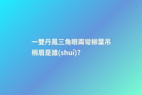 一雙丹鳳三角眼兩彎柳葉吊梢眉是誰(shuí)？