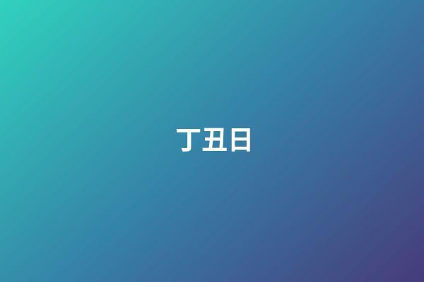 丁丑日