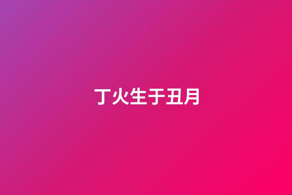 丁火生于丑月