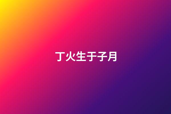 丁火生于子月