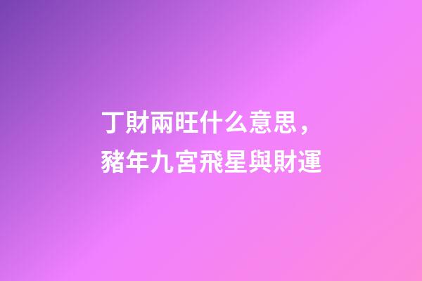 丁財兩旺什么意思，豬年九宮飛星與財運-第1張-觀點-玄機派