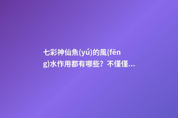 七彩神仙魚(yú)的風(fēng)水作用都有哪些？不僅僅是旺財(cái)