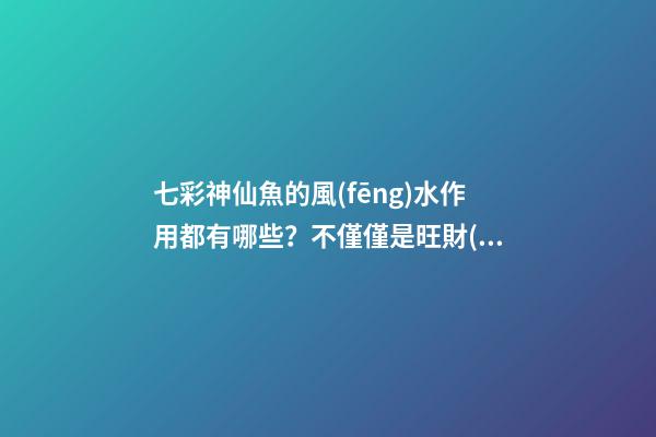 七彩神仙魚的風(fēng)水作用都有哪些？不僅僅是旺財(cái)