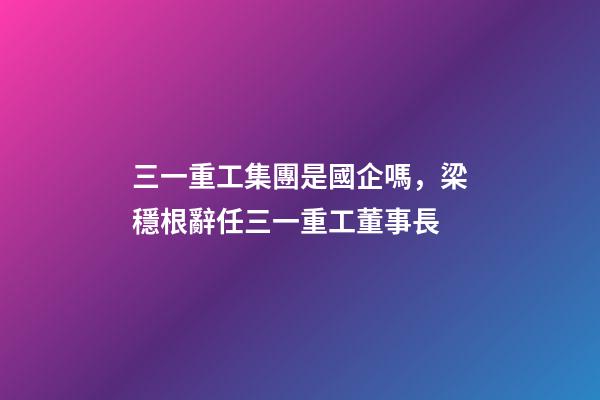 三一重工集團是國企嗎，梁穩根辭任三一重工董事長-第1張-觀點-玄機派