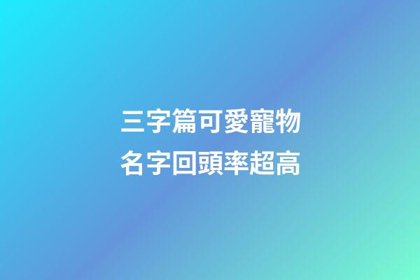 三字篇可愛寵物名字回頭率超高