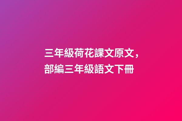 三年級荷花課文原文，部編三年級語文下冊-第1張-觀點-玄機派
