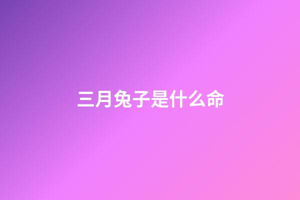 三月兔子是什么命(3月菩薩保佑肖兔、發一大筆橫財)-第1張-觀點-玄機派