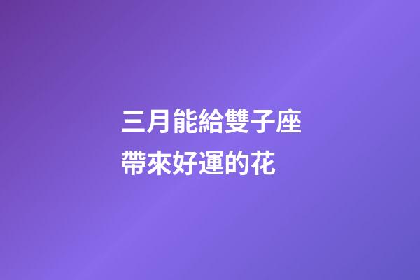 三月能給雙子座帶來好運的花-第1張-星座運勢-玄機派